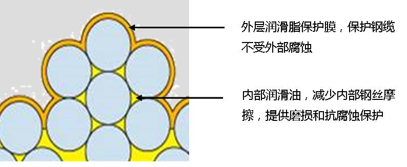 尊龙凯时·(中国)人生就是搏!